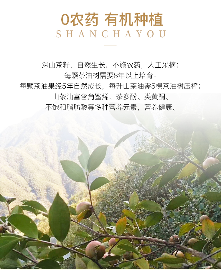 德丽芙山茶油750ml*2瓶礼盒装