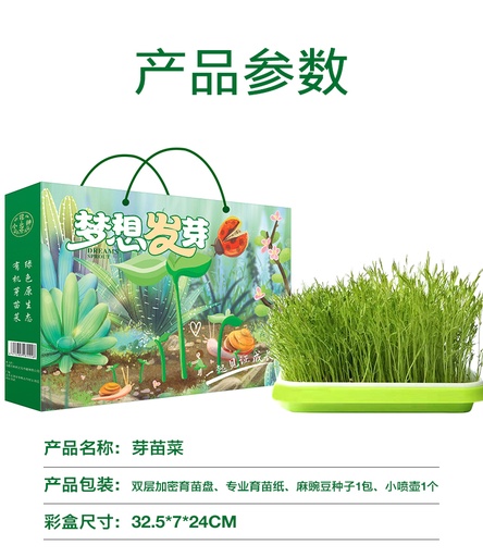 儿童水培种植苗芽菜套装儿童DIY